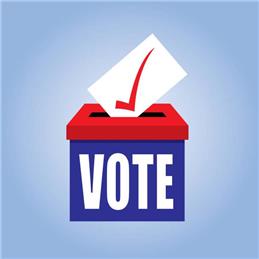 District Council Election - Notice of Election